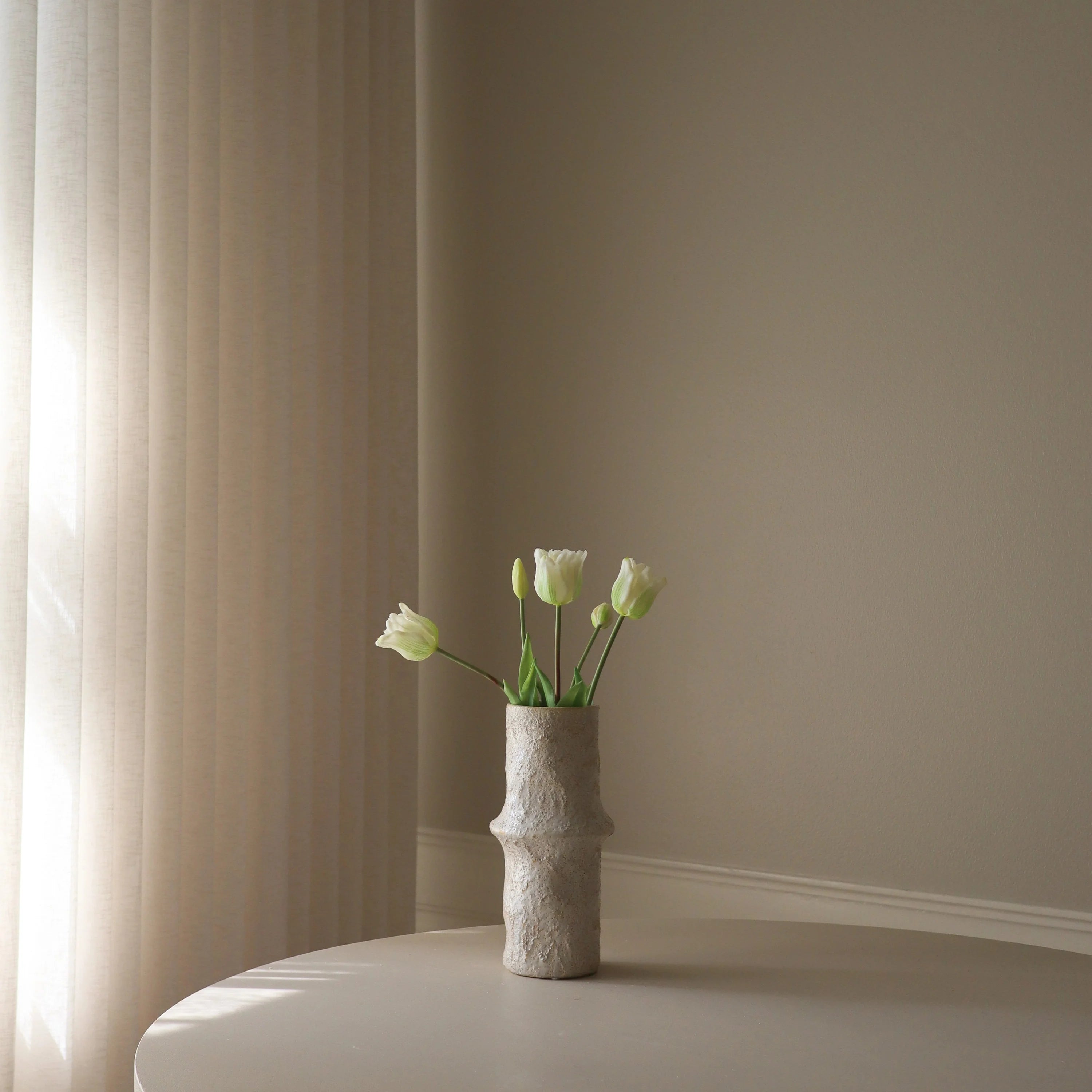 Hvide Triumph Tulipaner