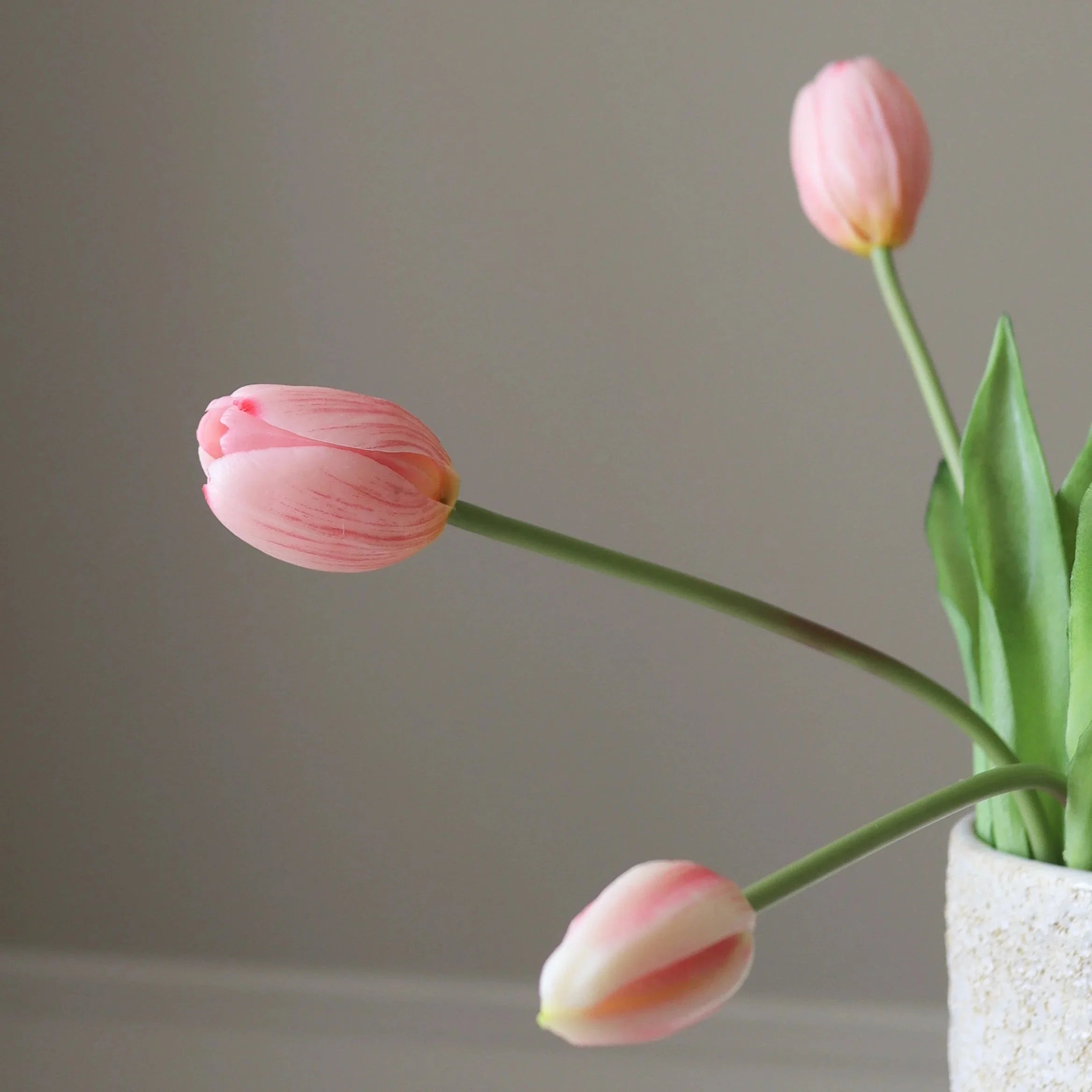 Lyserøde tulipaner
