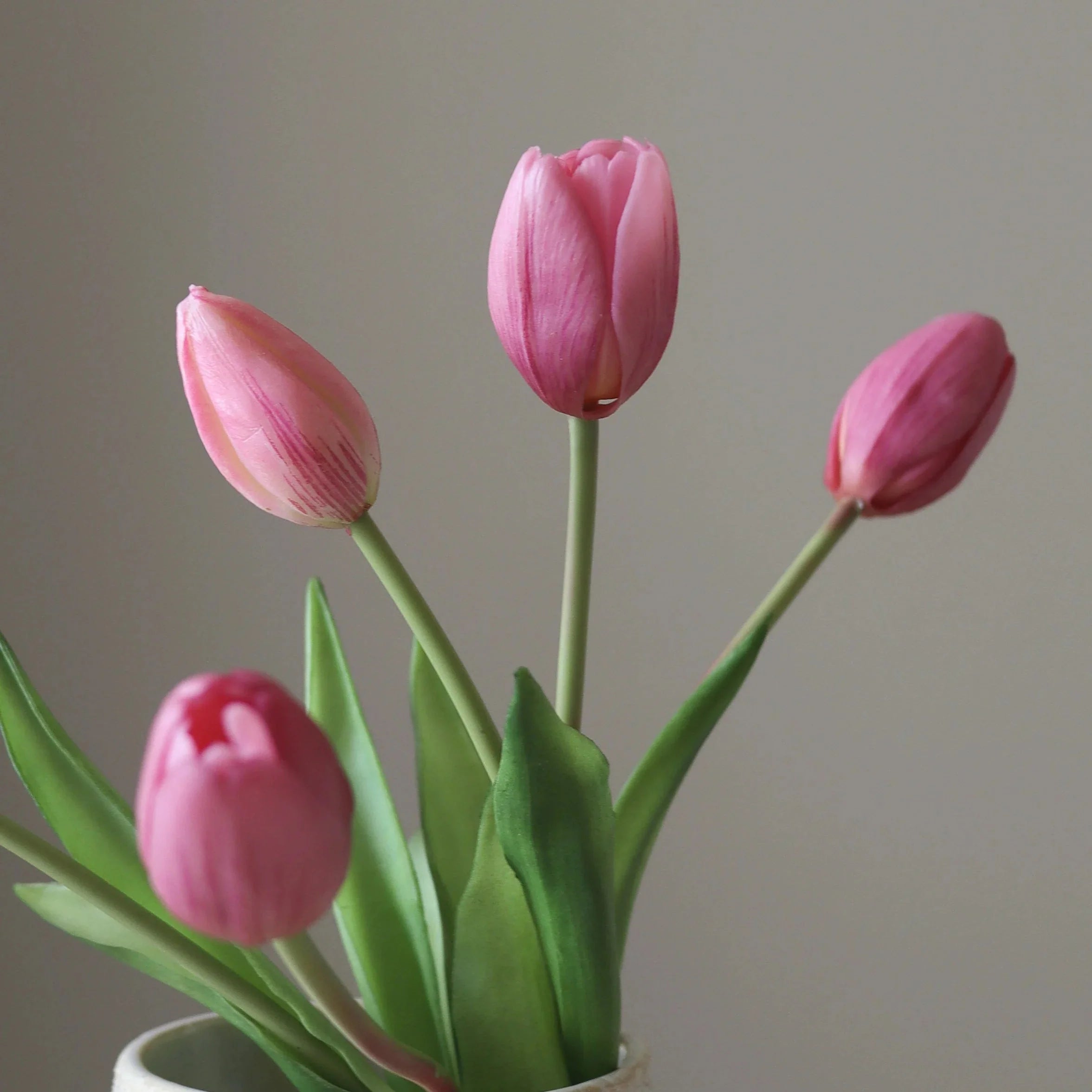Pink tulipaner
