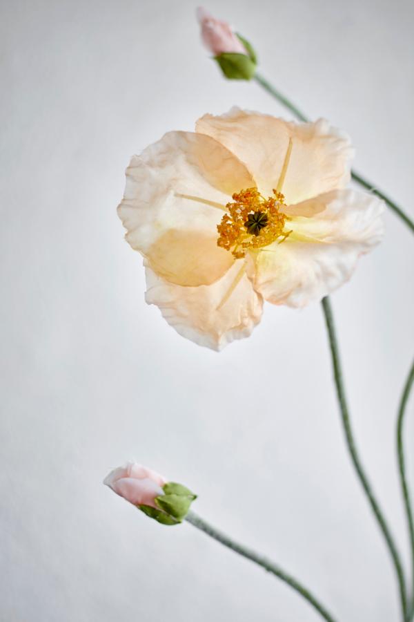 Poppy Stilk, Natur, Kunstige Blomster