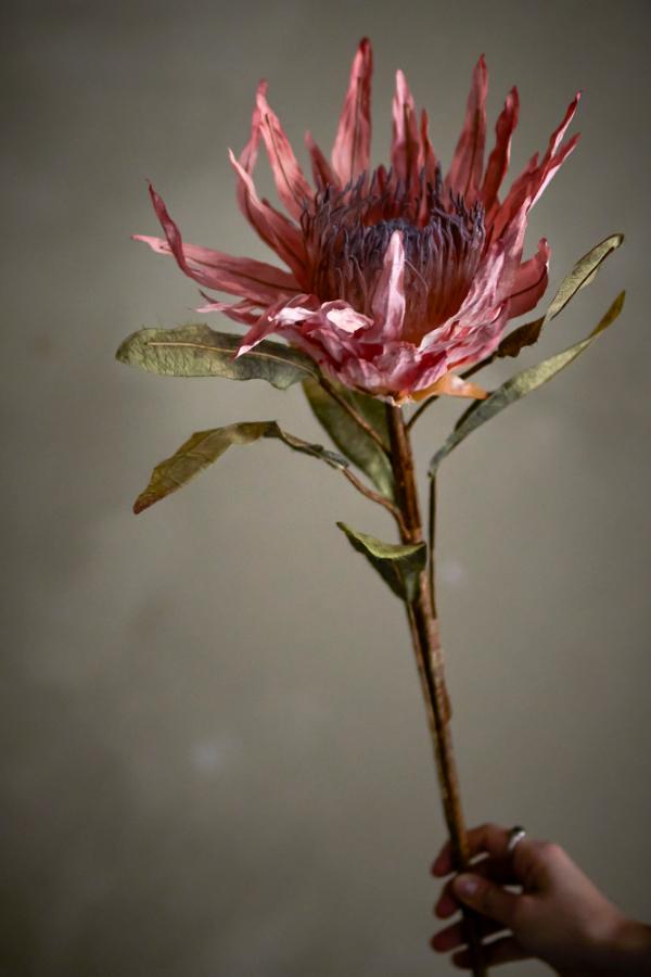 Protea Stilk, Rosa, Kunstige Blomster