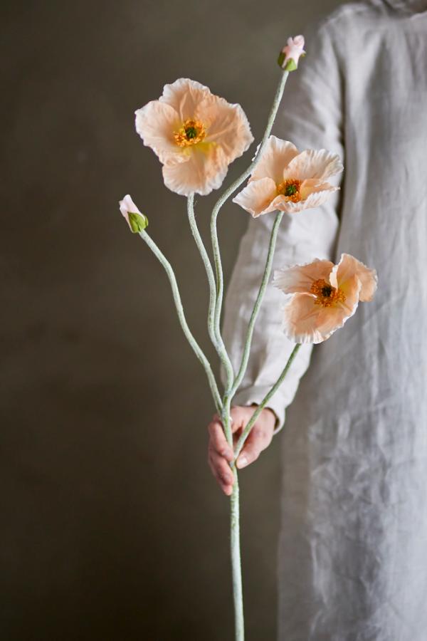 Poppy Stilk, Natur, Kunstige Blomster