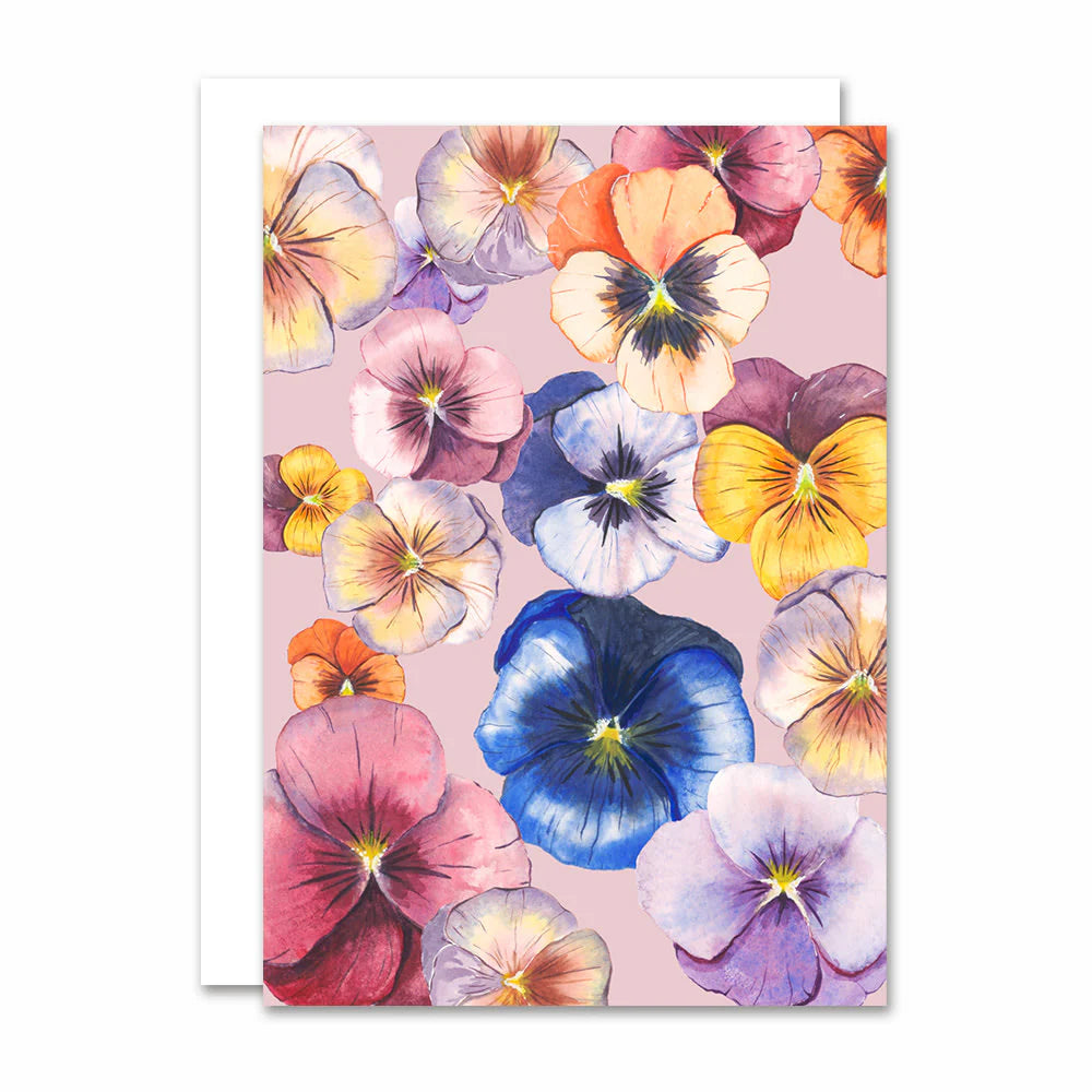 Pansy