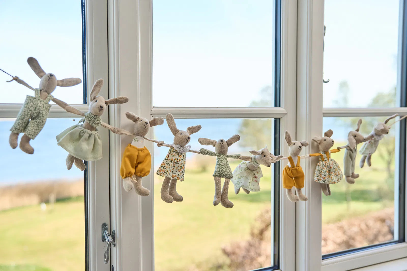 Nico kanin m. magnet