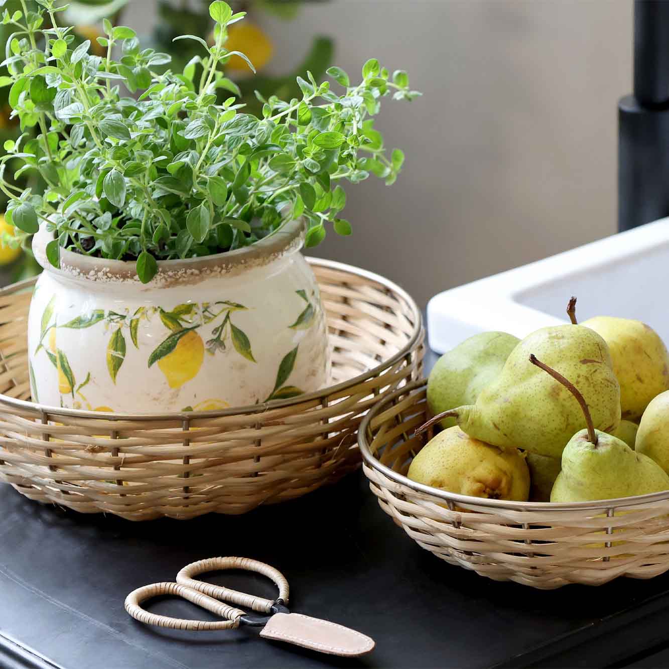 Limone potteskjuler m. citronmotiv