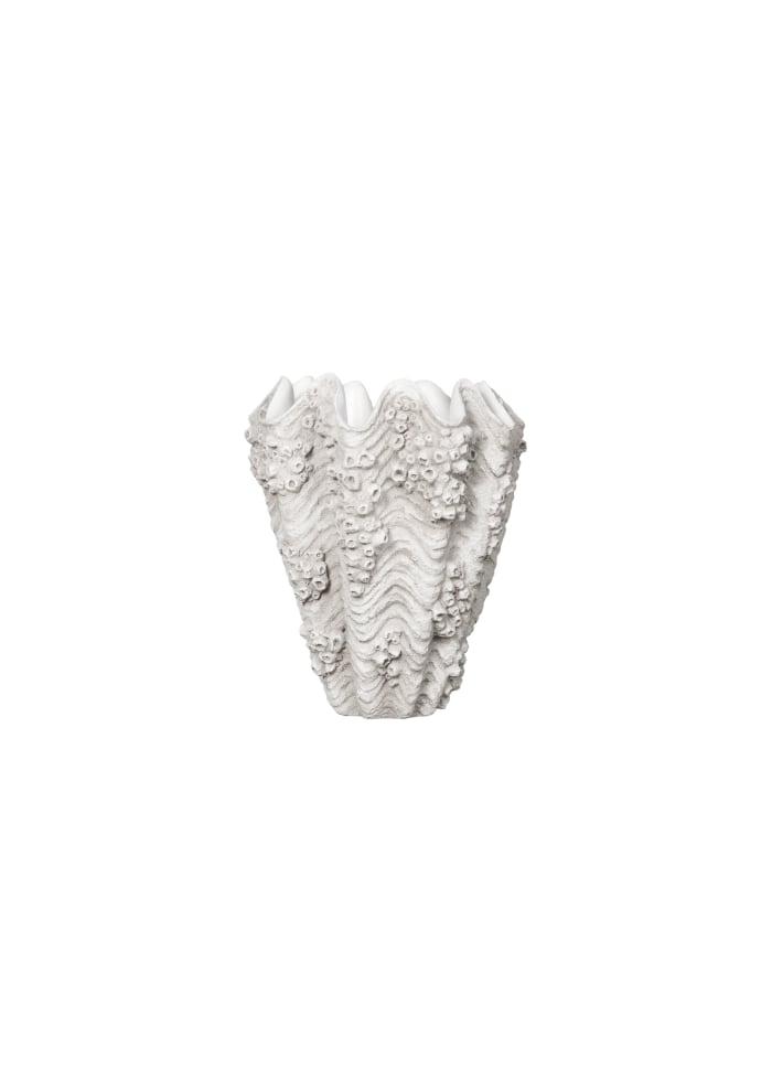 Naya Vase