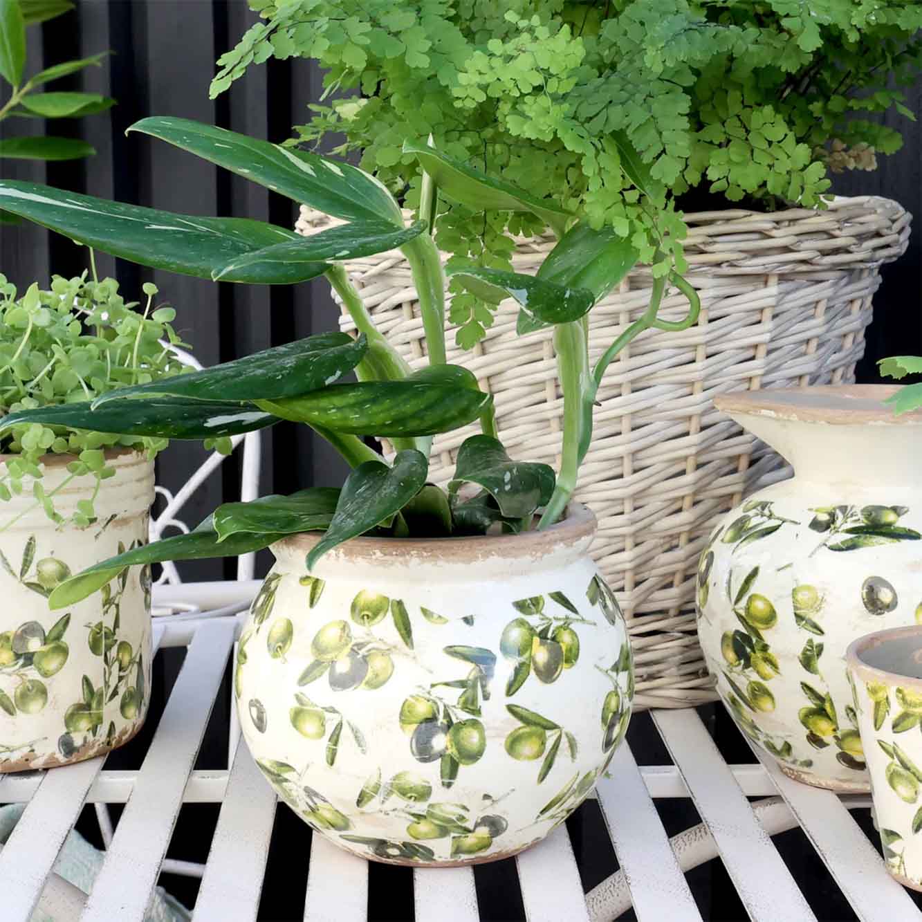 Olive Potteskjuler m. olivenmønste