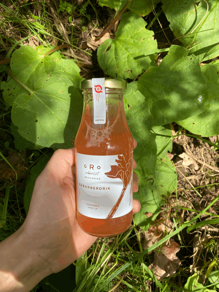 Rabarberdrik 250ml Øko